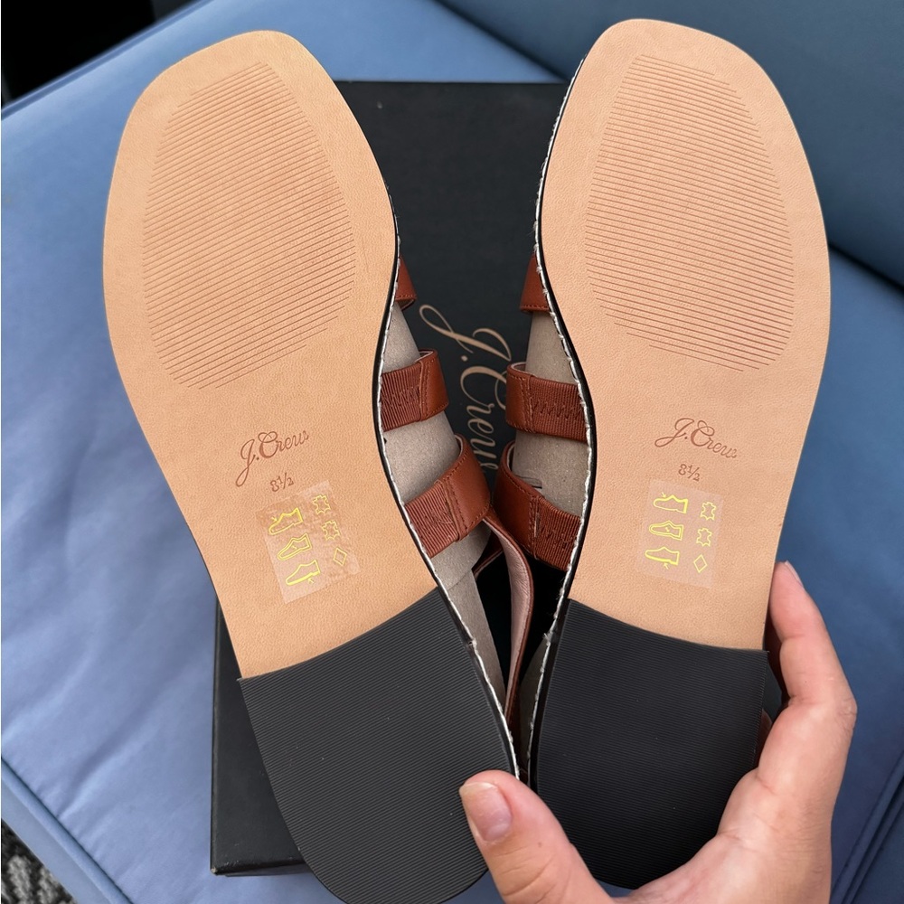 Scandals - Picture 5 of 6